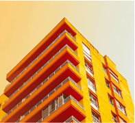 Professional Reports